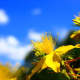 color
