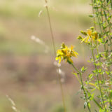 pict0033